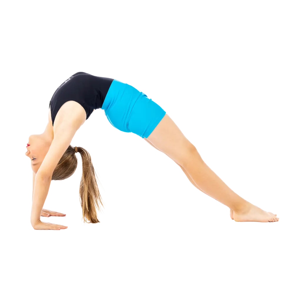Tumbling & Acro